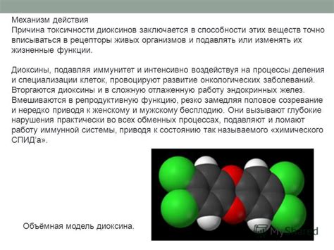 Влияние питания на содержание диоксина перед тестом: рекомендации и результаты исследования