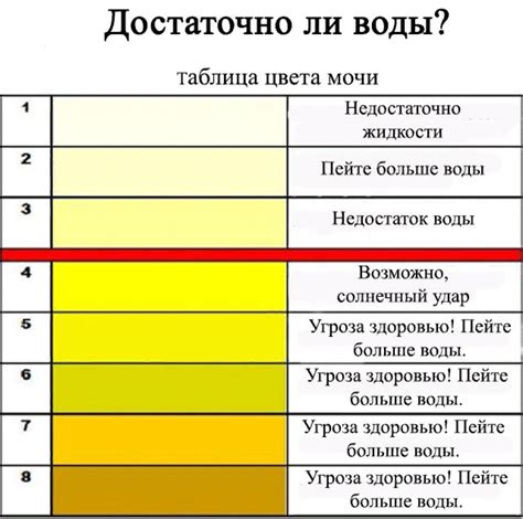 Влияние питания на цвет мочи у собаки