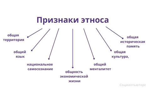 Влияние племенных комплексов и этнических групп