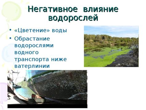 Влияние площади водного пространства