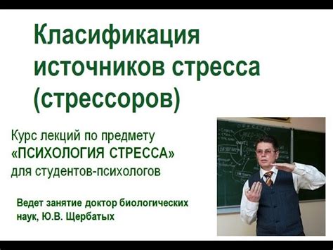 Влияние повседневных стрессоров