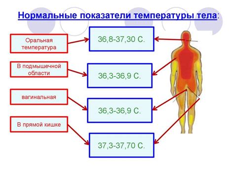 Влияние показателей тела на ощущение температуры