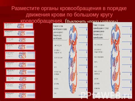 Влияние понижения градуса на кровообращение