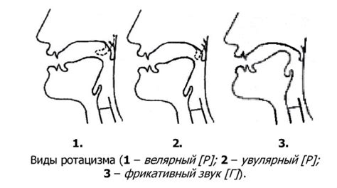 Влияние правильного положения языка на лечение ротацизма