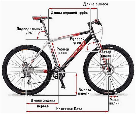 Влияние предназначения велосипеда на скорость