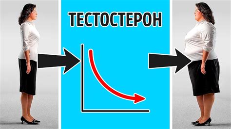 Влияние приема гормонов на набор веса