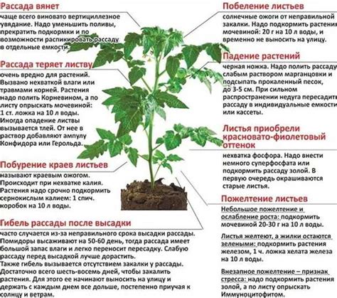 Влияние прокалывания на сохранение