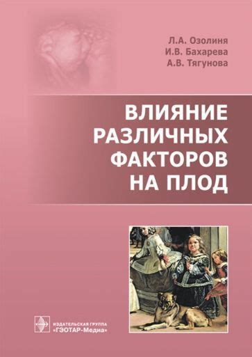 Влияние различных факторов на результаты проверки