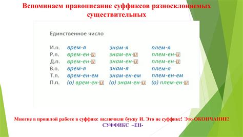 Влияние разносклоняемых существительных на предложение