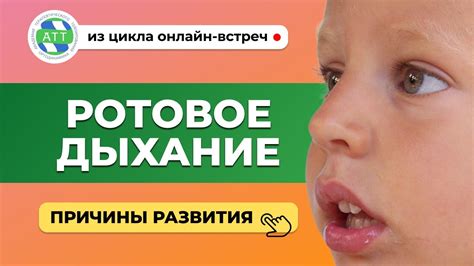 Влияние ротового дыхания на здоровье котят