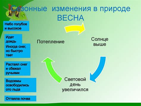 Влияние сезонных изменений на консистенцию меда