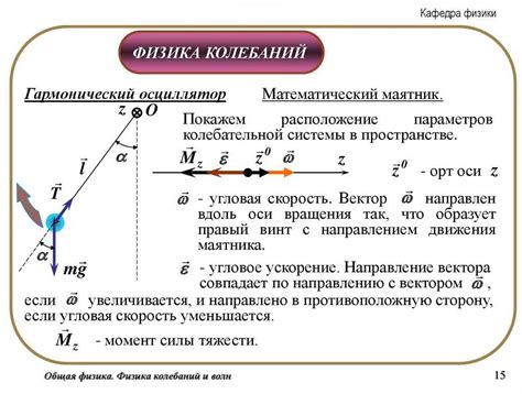 Влияние силы тяжести