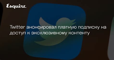 Влияние смены аккаунта на доступ к эксклюзивному контенту