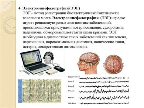 Влияние совмещения Новопассита и валерьянки на нервную систему