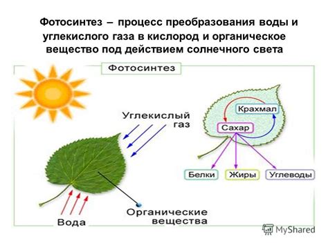 Влияние солнечного света на принтер: мнение экспертов