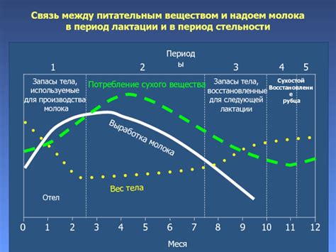 Влияние состояния здоровья на длительность лактации