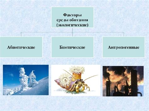 Влияние среды обитания и социокультурных норм