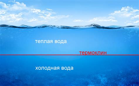 Влияние температуры воды на поведение леща