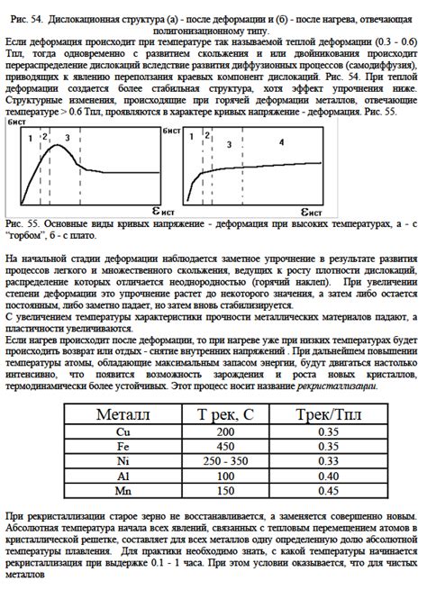 Влияние температуры жарки на структуру теста