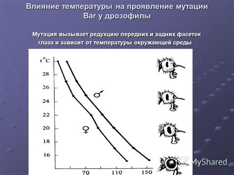 Влияние температуры на глаза