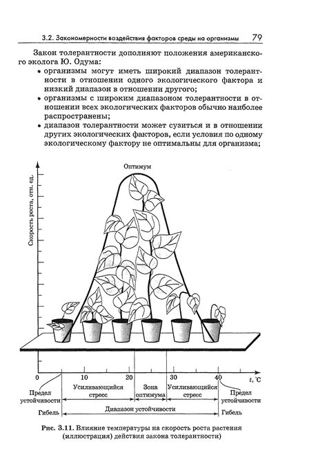 Влияние температуры на огурцовые завязи