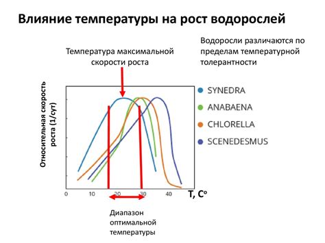 Влияние температуры на опускание лепестков