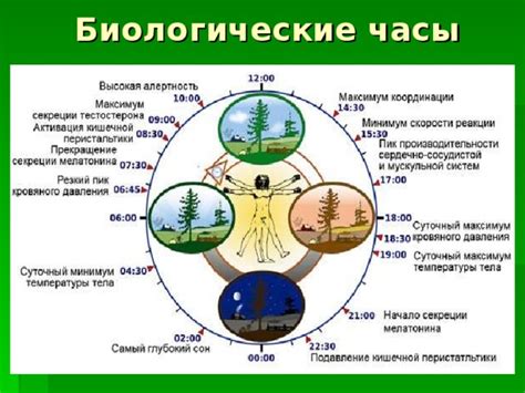 Влияние температуры на продукты