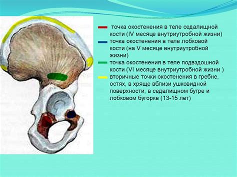 Влияние туловища на баланс и координацию