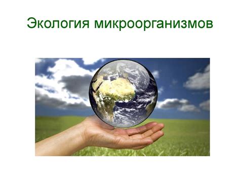 Влияние факторов окружающей среды на переворачивание морской свинки на спину