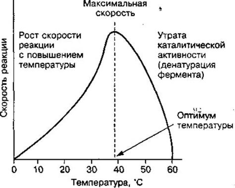 Влияние ферментов на пропадание сока