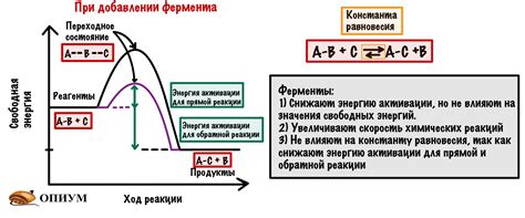 Влияние ферментов на реакцию