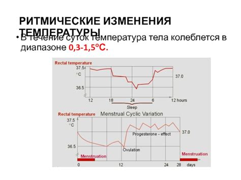 Влияние физического напряжения на изменение температуры тела