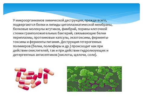 Влияние химических ингредиентов мезококтейля на фолликулы