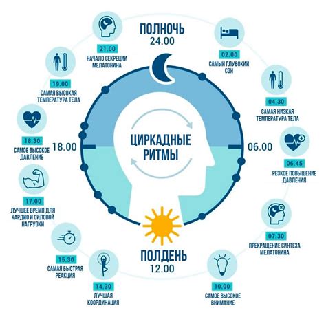 Влияние циркадных ритмов на организм