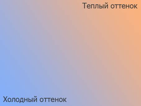 Влияние черного цвета на имидж судей