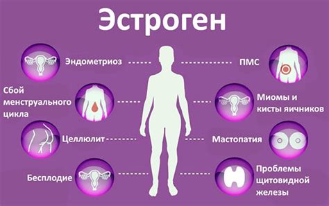 Влияние эстрогена на организм: механизмы действия и здоровье