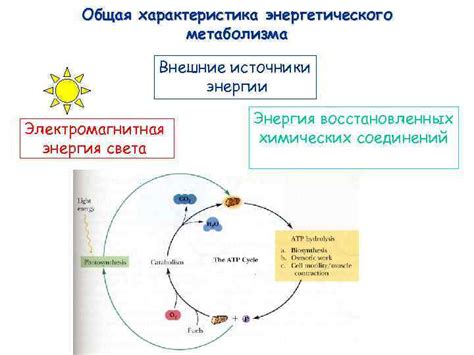 Внешние источники энергии