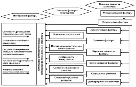 Внешние обстоятельства и окружающая среда