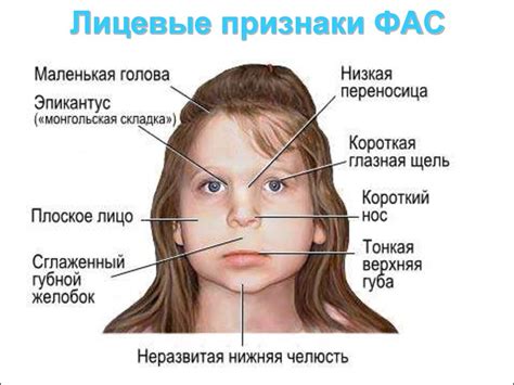 Внешние признаки исчерпывают не всю информацию