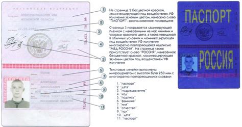 Внешние признаки подделки