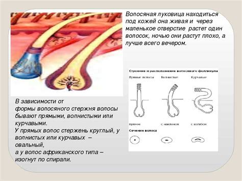 Внешние факторы, повышающие волосяной рост