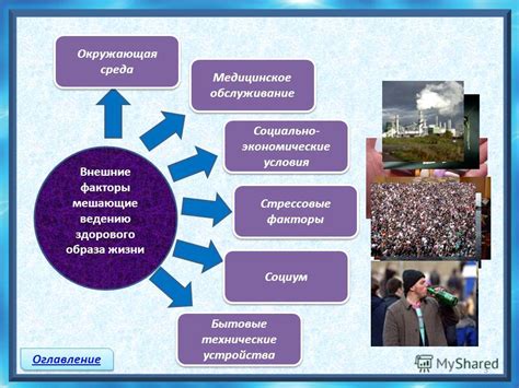 Внешние факторы и условия содержания