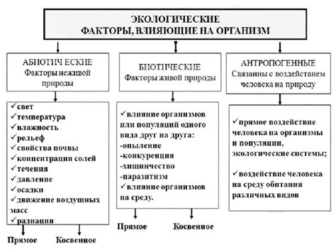 Внешние факторы окружающей среды