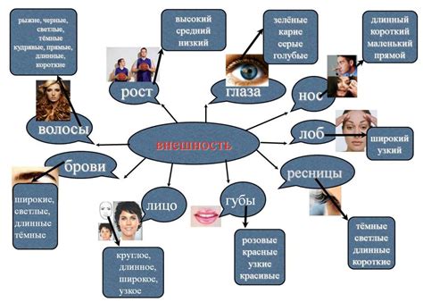 Внешность человека и ее значение