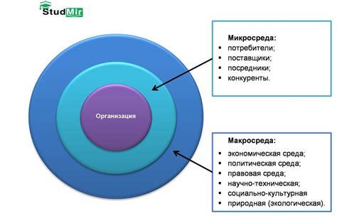 Внешняя среда и организация: воздействие и результаты