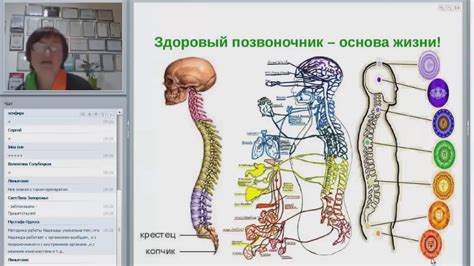 Внимание к физическому и эмоциональному здоровью