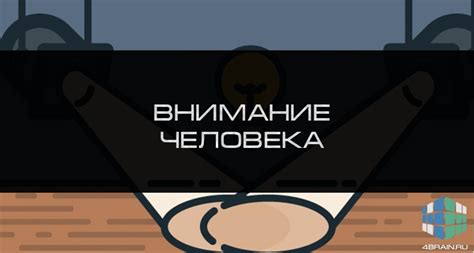 Внимание человека: как оно работает