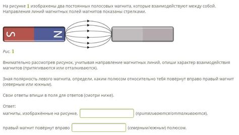 Внимательно осмотрите магнит