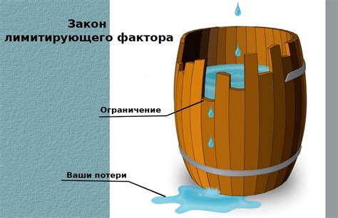 Внутреннее устройство бочки Либиха