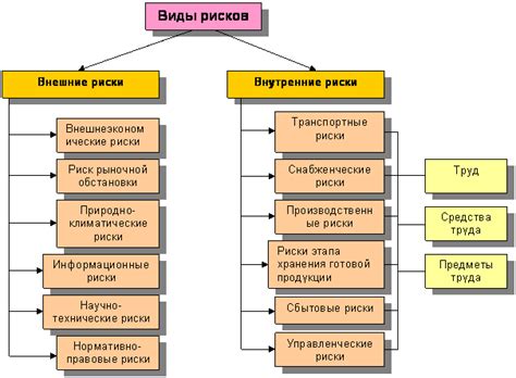 Внутренние и внешние особенности